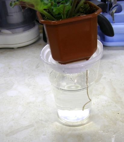 The wick watering system